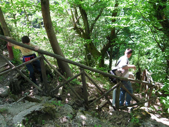 Ultime foto dell''incontro Natura Mediterraneo - 1^ parte